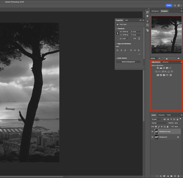 A showcase of photo editing capabilities with an image of a tree and a cityscape.