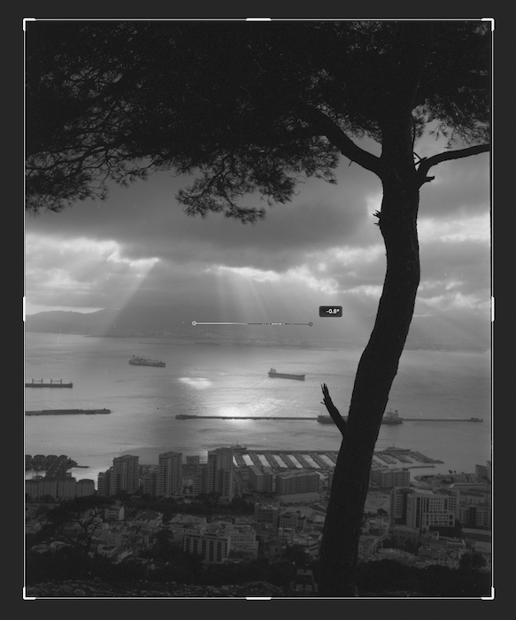 A tree by the water, with clouds and sky in the background.