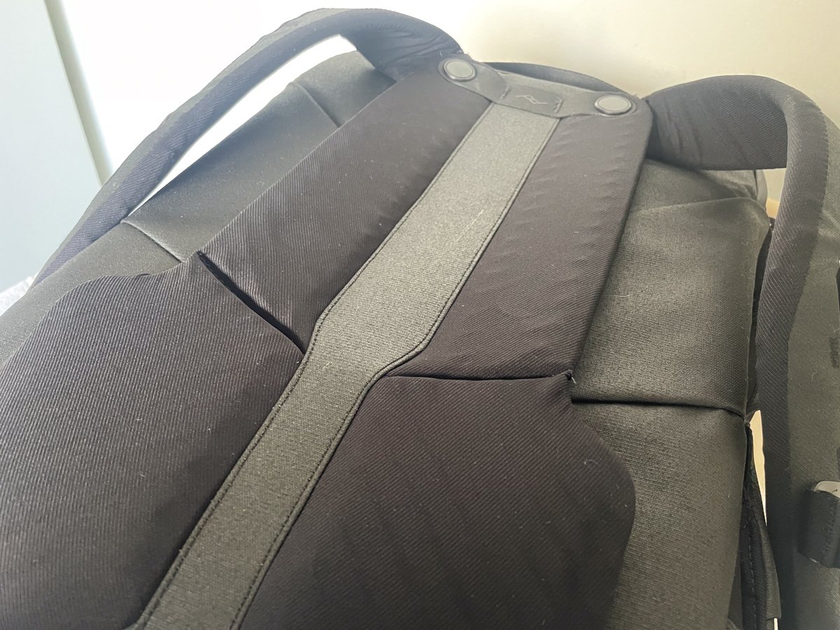 detail of back padding