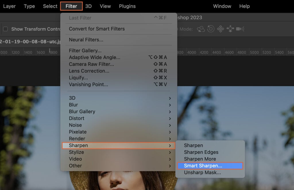 An image editing software, showcasing options for filters and other effects on a photograph.