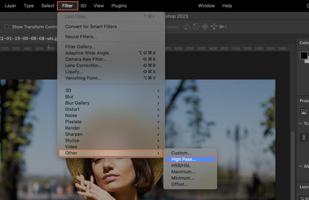 A photo editing software open, displaying a user interface for filter selection with the last applied filter highlighted.