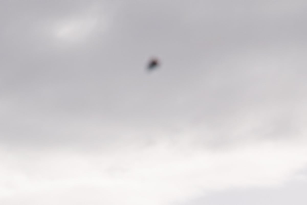 Closeu-up of dust particle