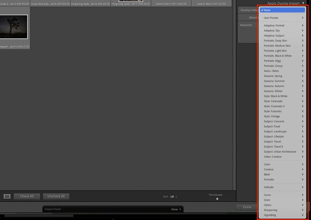 screenshot of list of presets you can apply during the import process in lightroom
