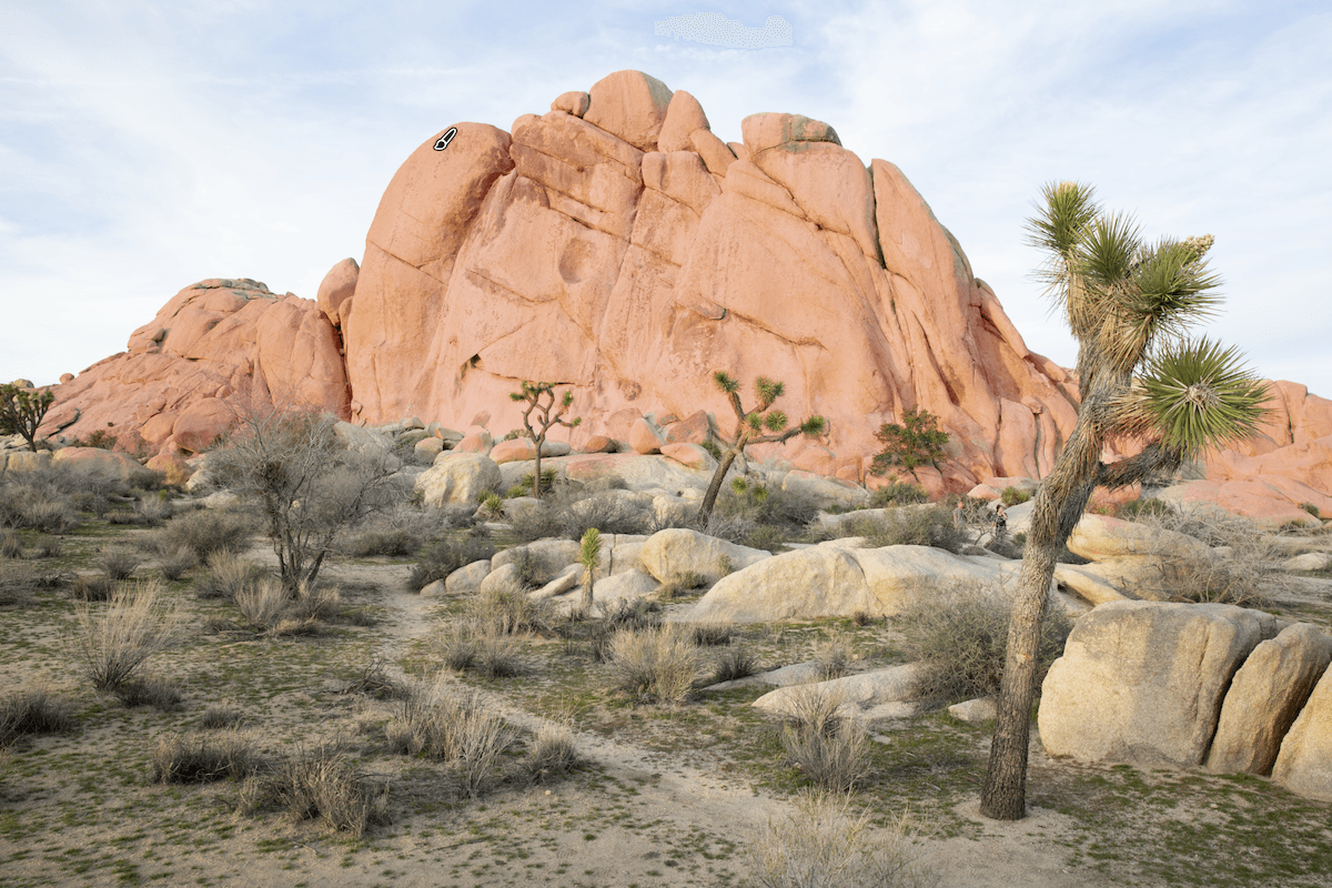 photograph of a rocky mountain with a tree in the foreground. The mountain has been masked in lightroom