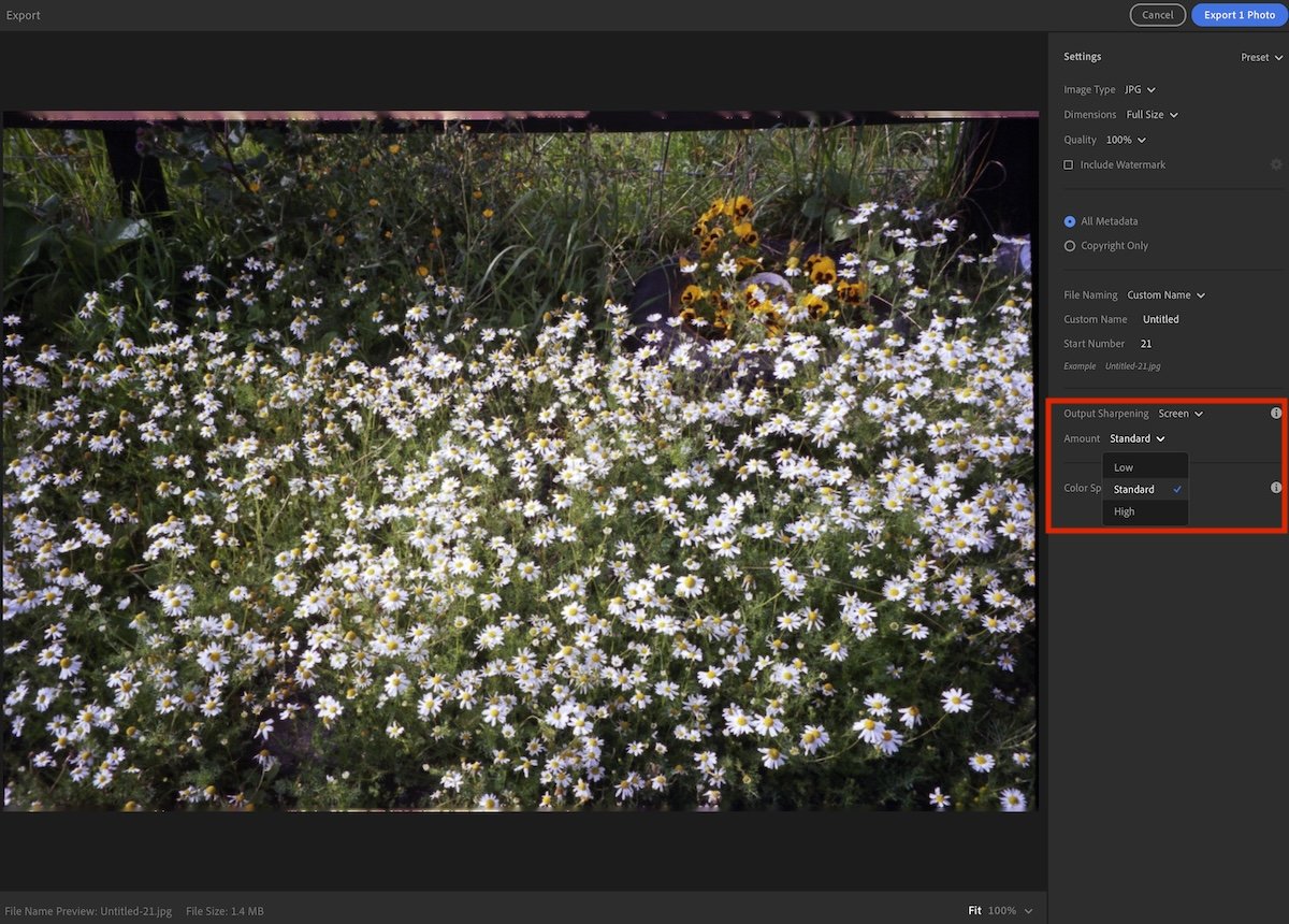 screenshot of export panel in lightroom