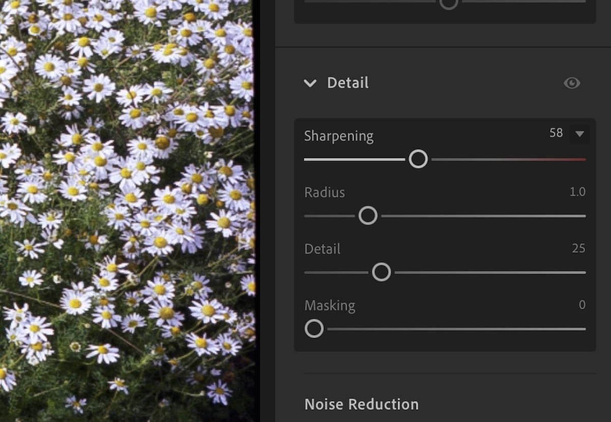 screenshot of editing panel in lightroom