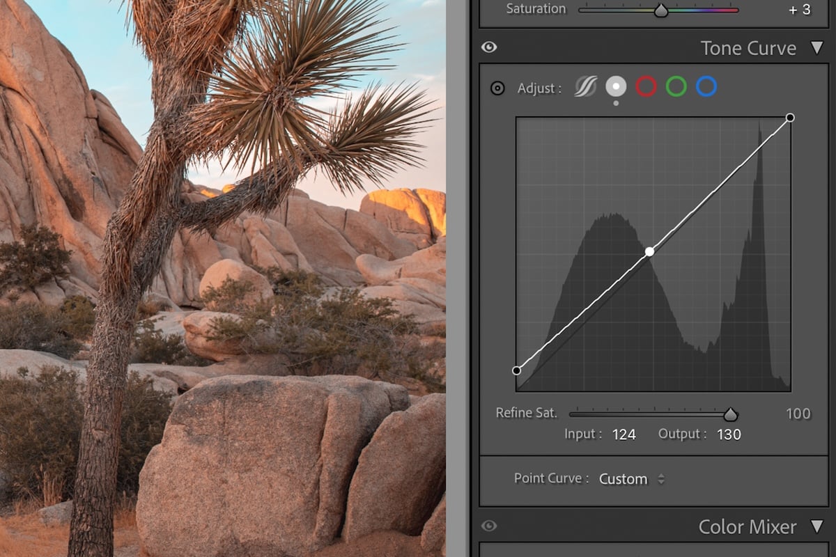 screenshot of lightroom interface