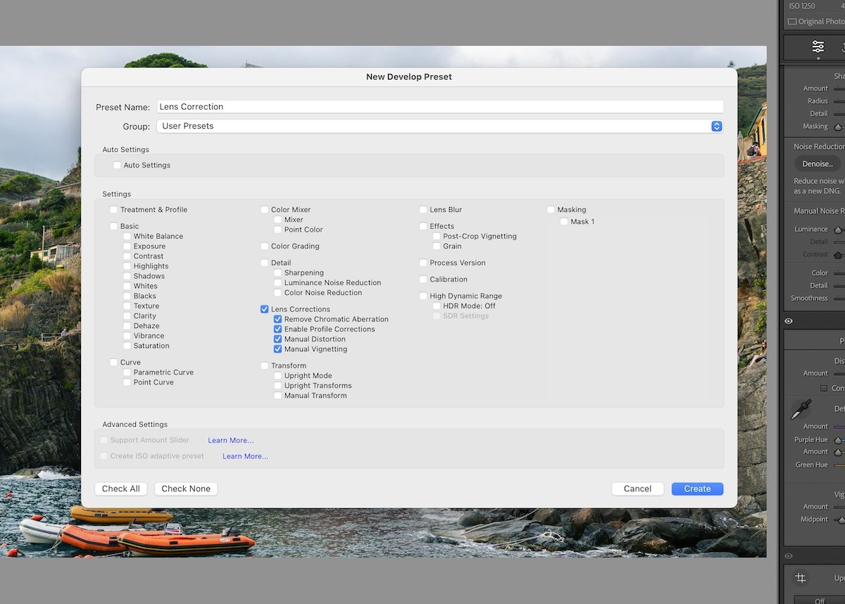 screenshot of lens correction preset in lightroom classic