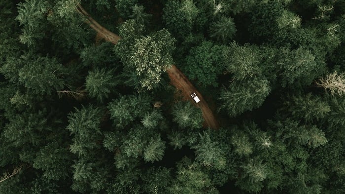 Aerial drone shot of a landrover on a dirt road in a forest