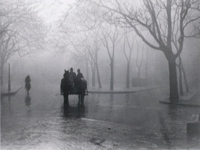 Horse-drawn carriage in park on rainy day