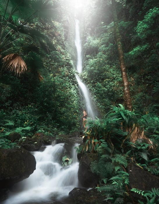 Jungle waterfall