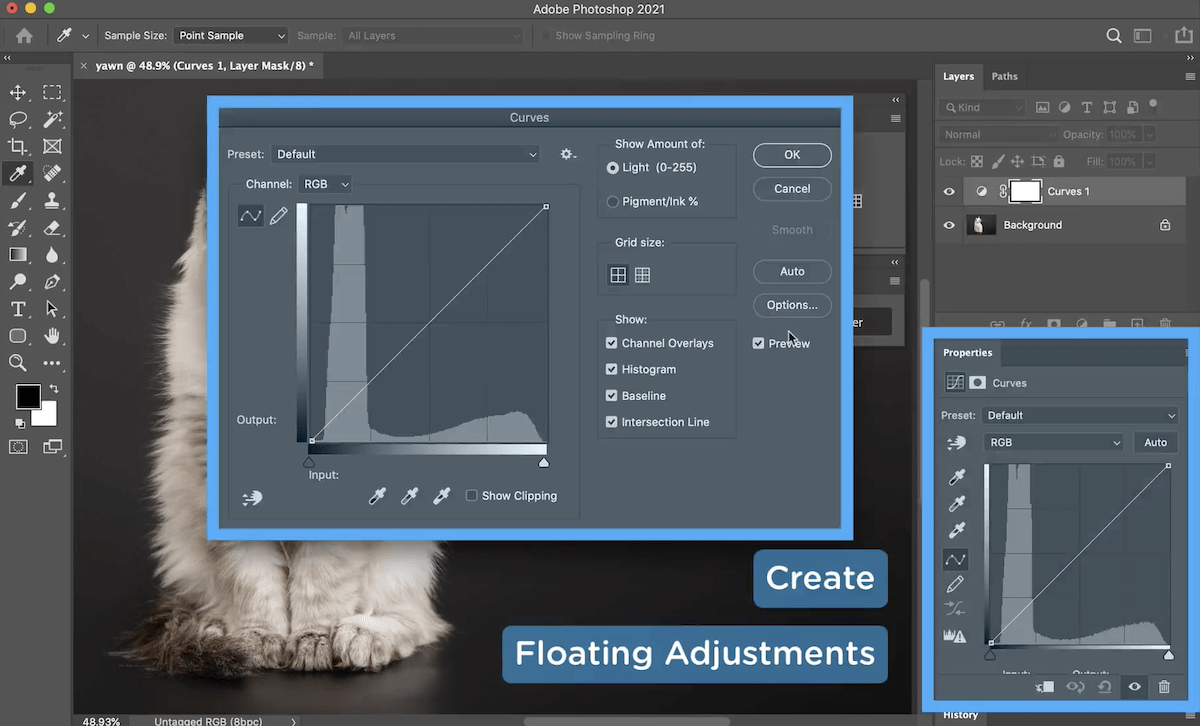 screenshot showing how to use floating adjustments in photoshop