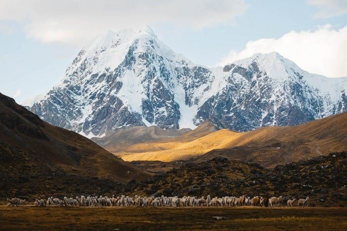 Heard of something in mountain valley