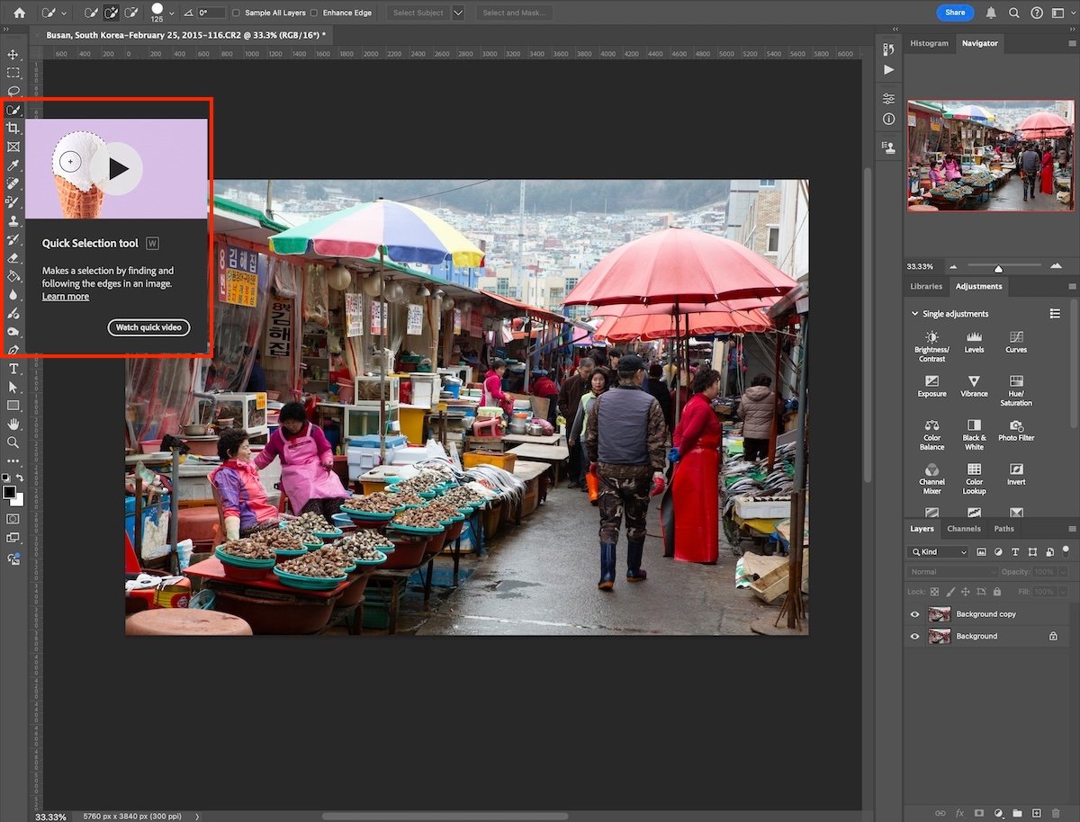 screenshot of photoshop highlighting quick select tool