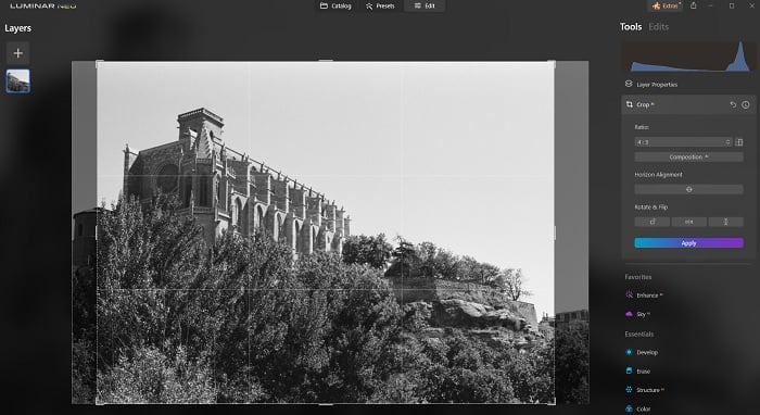 Screenshot of crop tool in Luminar Neo