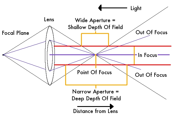 How to Understand Depth Of Field and Produce Creative Blur » Expert ...