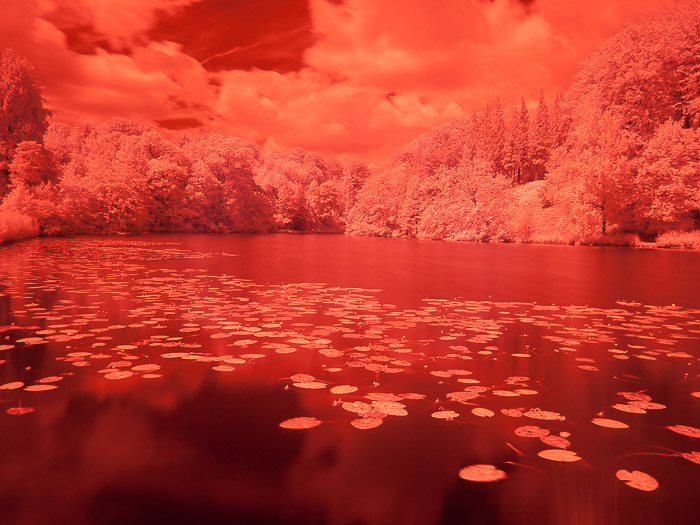 Um lago vermelho chamativo no Chateau de la Hulpe, Bélgica, capturado através de fotografia infravermelha