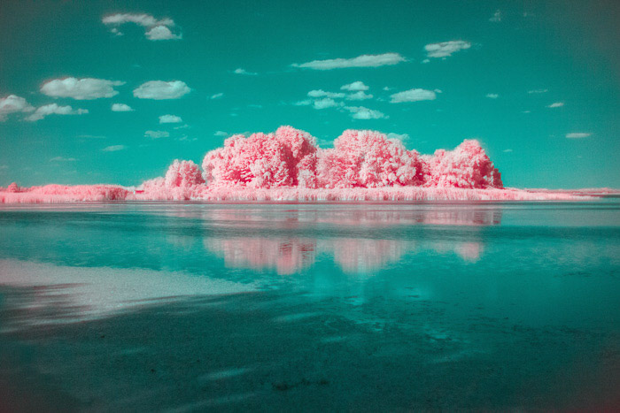 Um olho...capturando teal e paisagem rosa capturados através de fotografia de infravermelhos