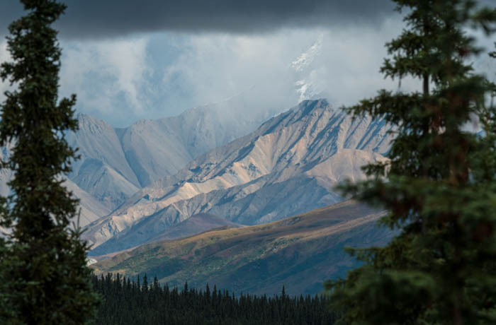 Fotografia da paisagem de uma montanha emoldurada por árvores