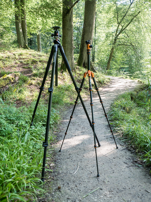 Instalação de dois tripés em uma floresta para fotografia de paisagem
