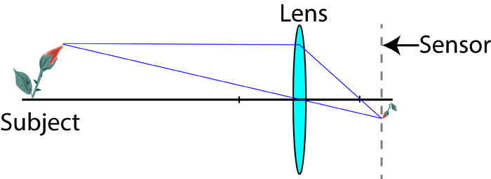 convencional close up photography graph