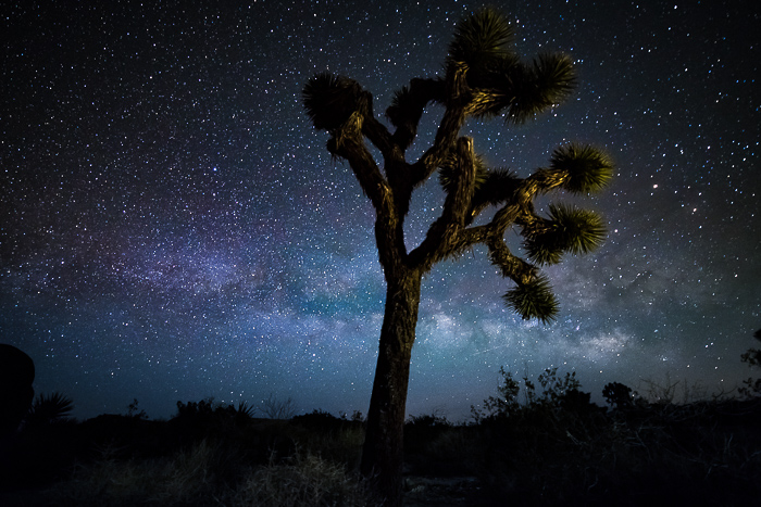 Best Camera Settings For Milky Way Photos 98 Of Shots