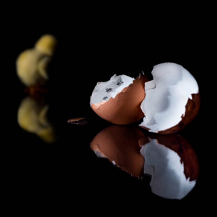 Una fotografía creativa de cáscara de huevo y prisión de pollo