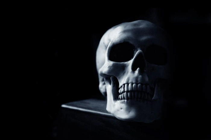 A photo of a skull in the dark