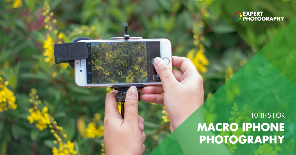 10 Tips for Macro  iPhone  Photography Close Up Smartphone 