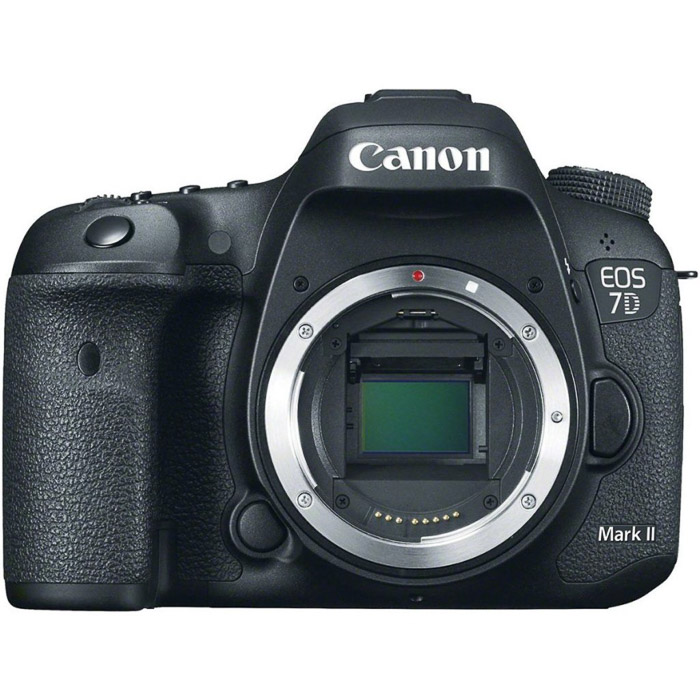 Bild einer Canon EOS 7D Mark II Kamera. Beste Low-Light-Kamera.