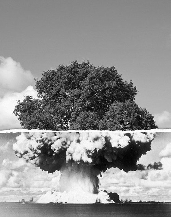 a picture of a tree and an atomic bomb mushroom cloud have been merged