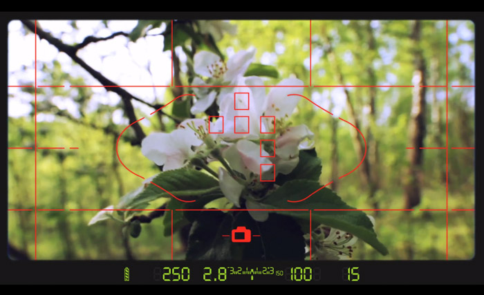  billede af en kameraskærmgrænseflade, der viser en hvid blomst. Sådan bruges en lysmåler