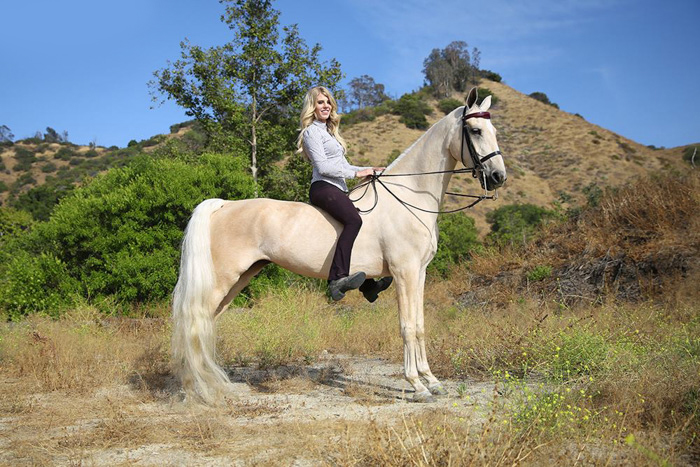 Majestic portrait of a girl on a light colored horse standing outdoors 