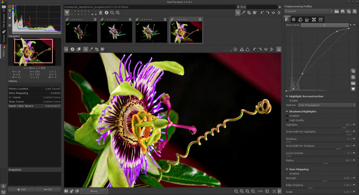 Screenshot of using RawTherapee editing as an alternative to Lightroom