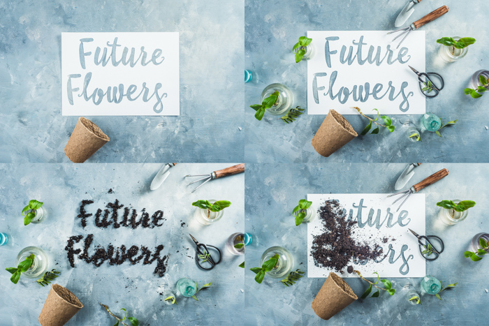 4 foto still life photography ideas grid con il testo 'future flowers' e varie disposizioni di un vaso di fiori e fiori'future flowers' and various arrangements of a flower pot and flowers 