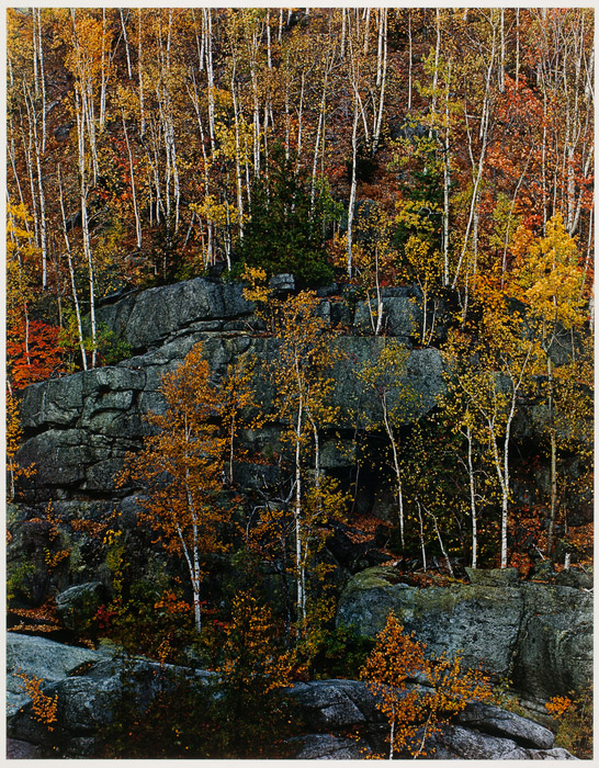 Eliot Porter breathtaking landscape shot of rocks surrounded by autumn colored trees