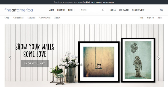 Ein Screenshot der Fine Art America Homepage