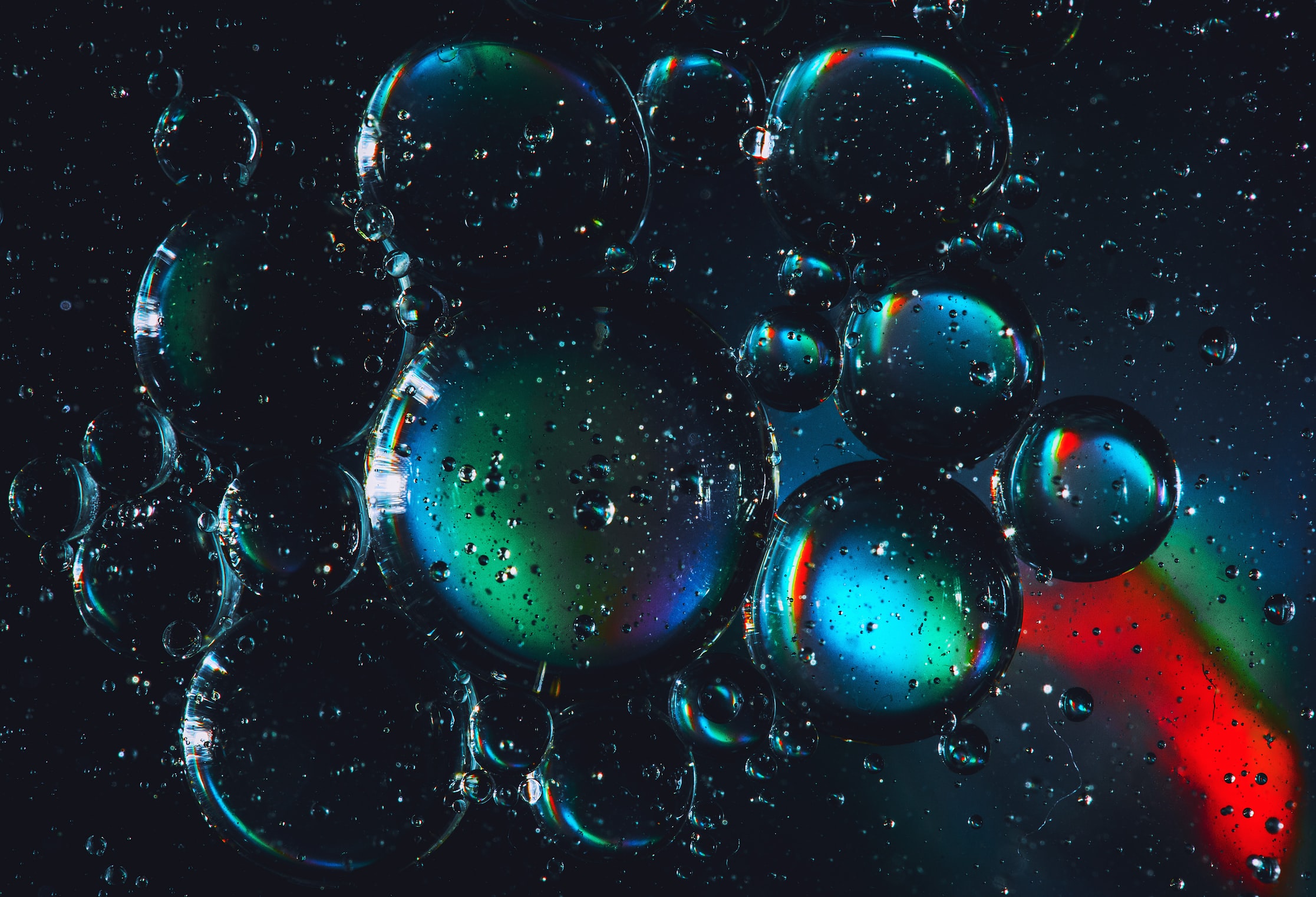 macro photo of bubbles