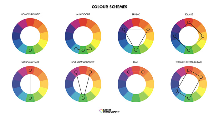 Um diagrama que mostra a teoria das cores para a fotografia.