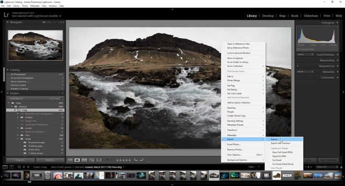 Una captura de pantalla que muestra cómo exportar sus fotos desde Lightroom utilizando una foto horizontal
