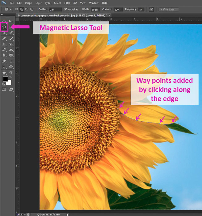 Screenshot of using the Magnetic Lasso Tool Photoshop shortcuts