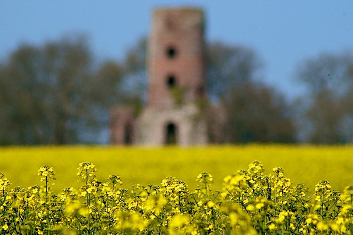 Campo sfocato con un castello sullo sfondo