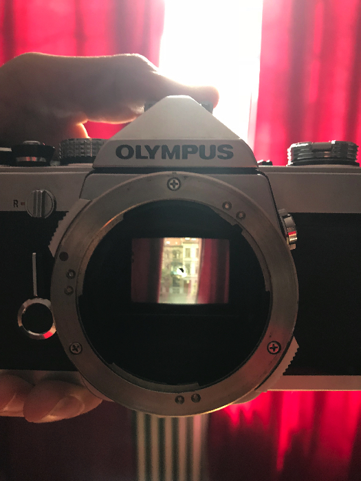 Light from the optical viewfinder of my OM-1 forms this image on the mirror.
