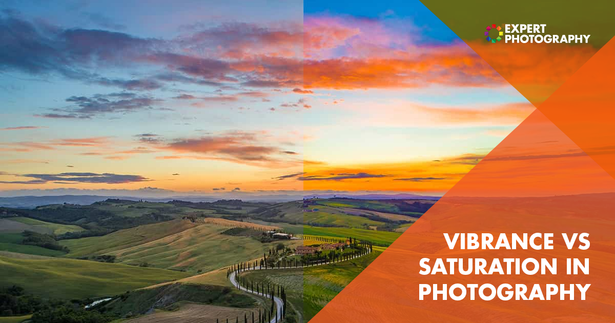 Vibrance Vs Saturation In Photography Which One To Use