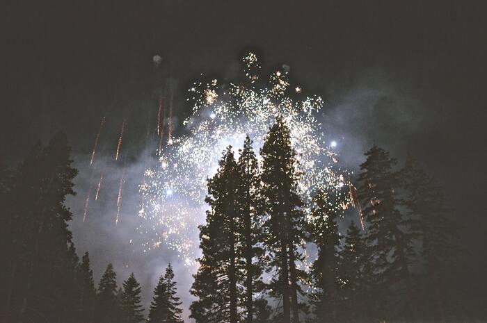 Foto de fogos de artifício explodindo em uma floresta