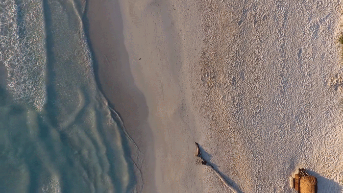 Cinemagraph de uma pessoa correndo ao longo de uma praia