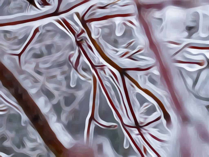 Ein Foto von Baumzweigen, das in ein Gemälde verwandelt wurde