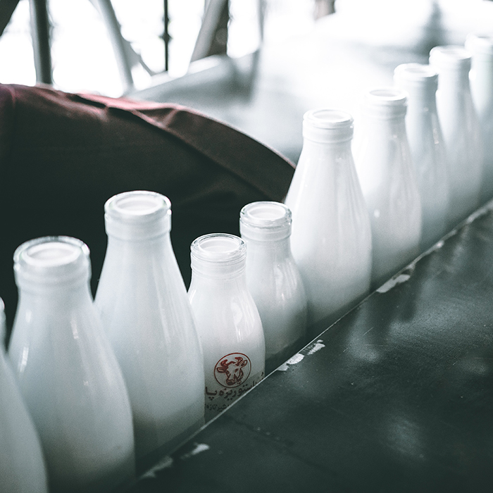 Uma fileira de garrafas de leite de diferentes tamanhos. 