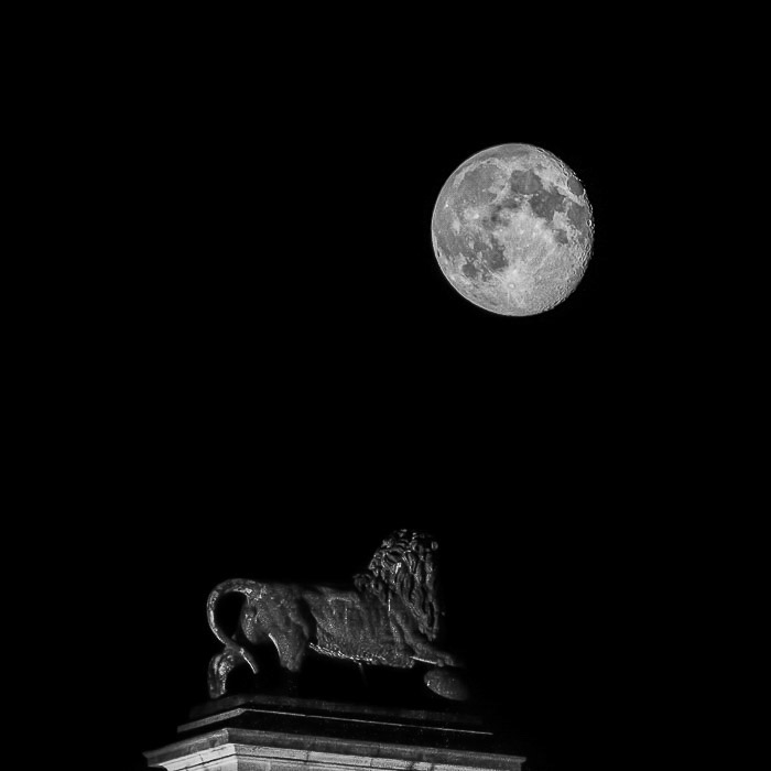 Fotografie alb-negru a leului pe vârful Butte du Lion (Waterloo, Belgia) peste un peisaj montan uimitor