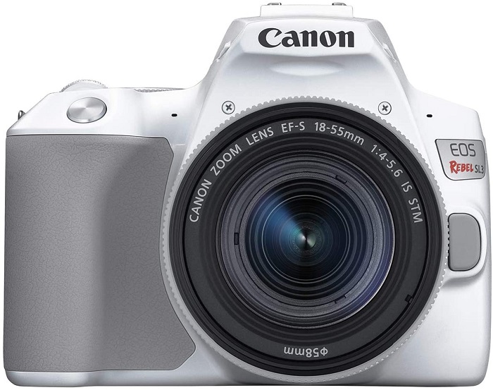Canon Rebel, one of the best entry level dslr cameras